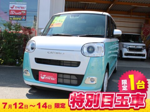 ムーヴキャンバス　ストライプスＧ