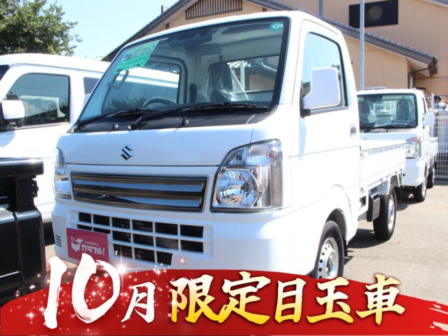 キャリィトラック　KCスペシャル　2WD　MT