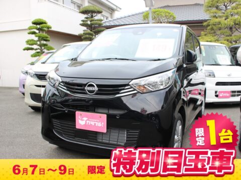 デイズ　X　アラウンドビュー付き