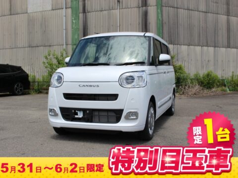 ムーヴキャンバス　セオリーG