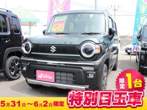 ハスラー　タフワイルド