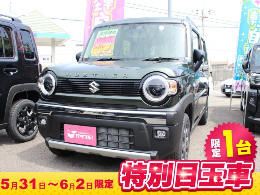 ハスラー　タフワイルド