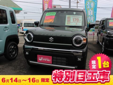 ﾊｽﾗｰ　ﾀﾌﾜｲﾙﾄﾞ