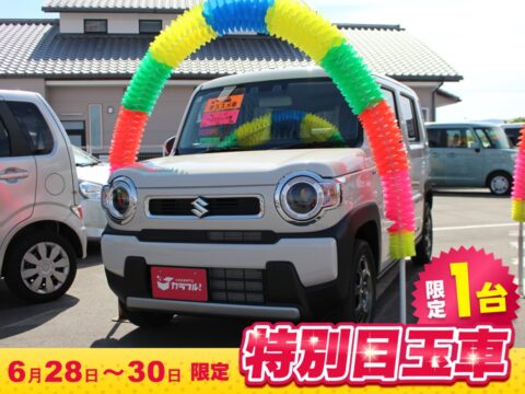 ハスラー　G