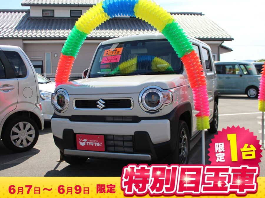 ハスラー　G