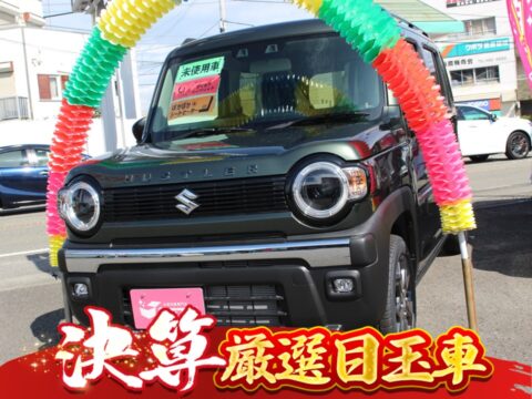 ハスラー　タフワイルド