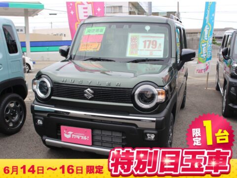 ﾊｽﾗｰ　ﾀﾌﾜｲﾙﾄﾞ