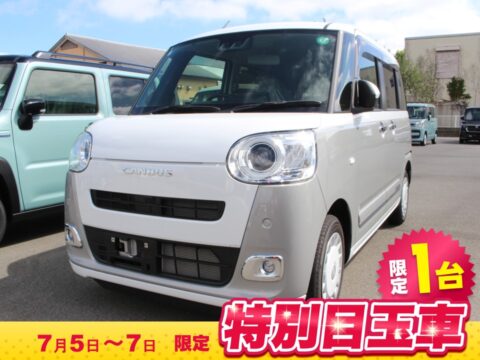 ムーブキャンバス　ストライプスG