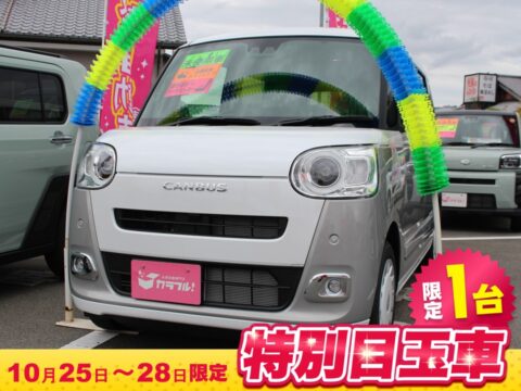ムーヴキャンバス　ストライプスG