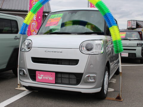 ムーヴキャンバス　ストライプスG