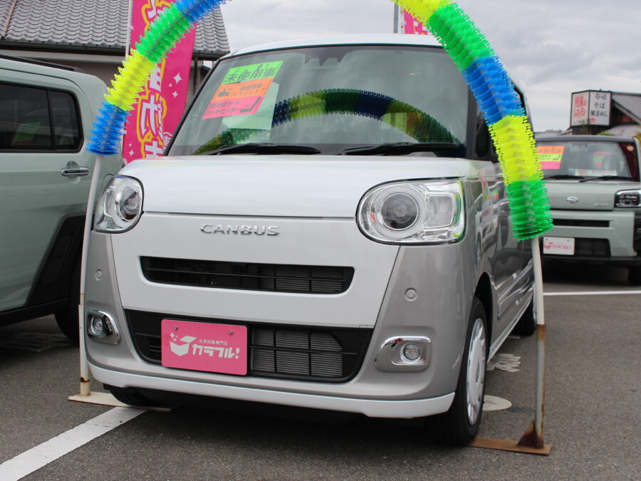 ムーヴキャンバス　ストライプスG