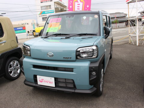 タフト　G