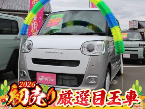 ムーヴキャンバス　ストライプスG