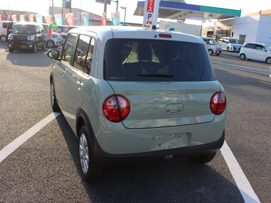 アルトラパン　ハイブリッドX　全方位カメラ付