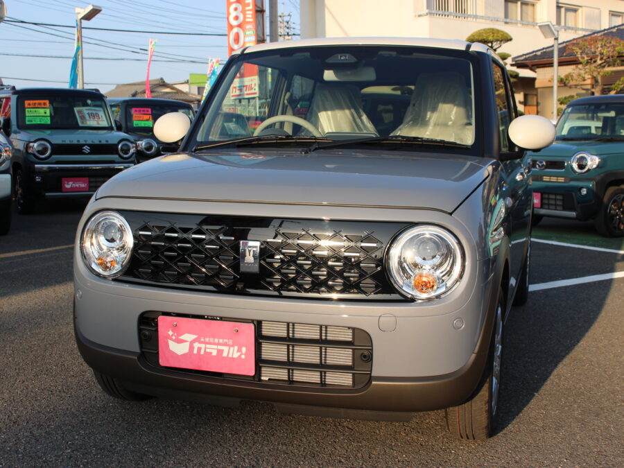 アルトラパン　ハイブリッドＸ　全方位カメラ