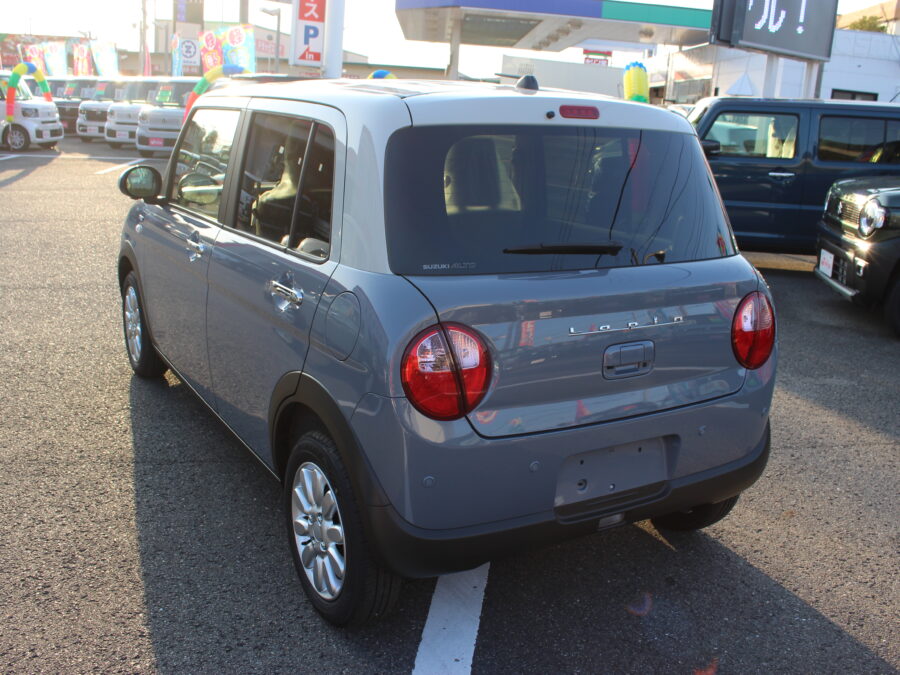 アルトラパン　ハイブリッドＸ　全方位カメラ