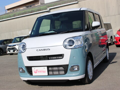 ムーヴキャンバス　ストライプスG