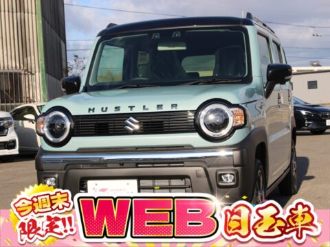 ハスラー　タフワイルド　全方位モニター付ナビ