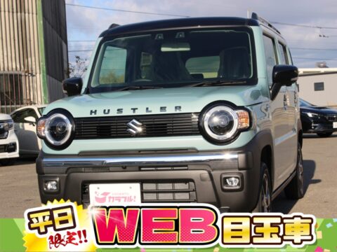 ハスラー　タフワイルド　全方位モニター付ナビ