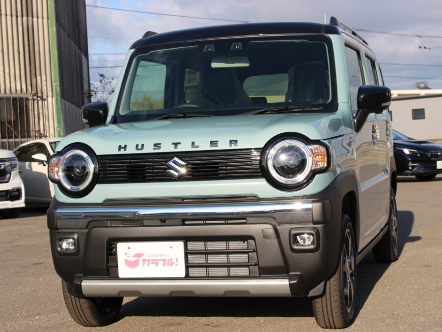 ハスラー　タフワイルド　全方位モニター付ナビ