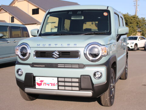 ハスラー　ハイブリッドX