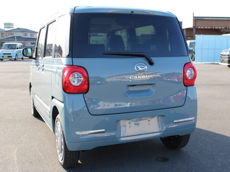 ムーヴキャンバス　セオリーＧ