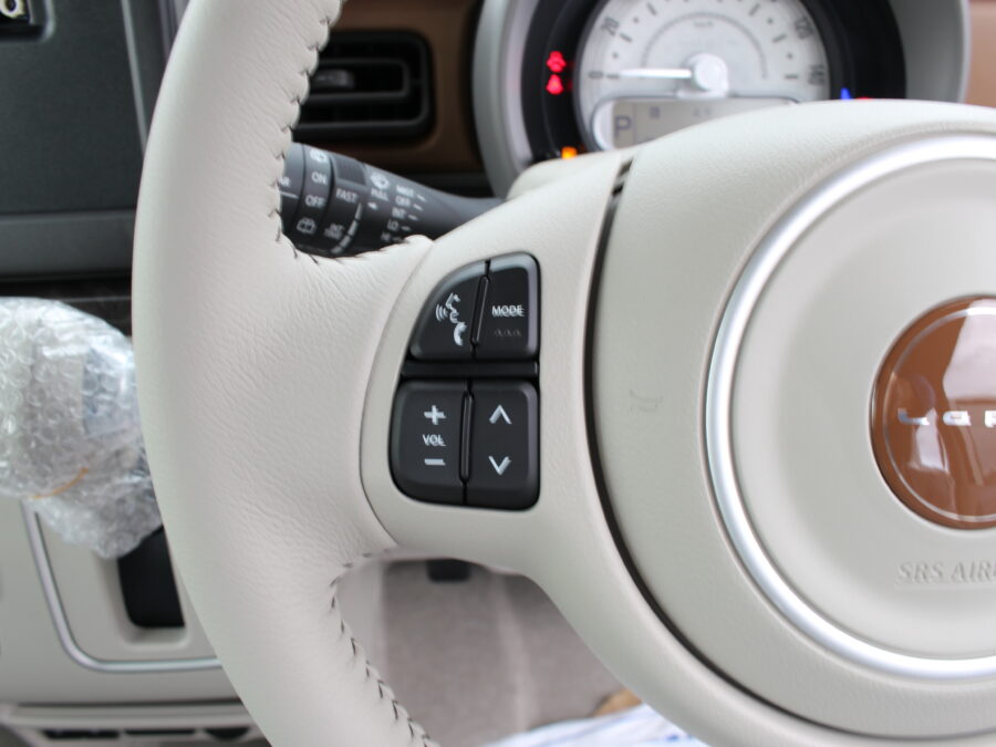 アルトラパン　LC　ハイブリッドX　全方位カメラ