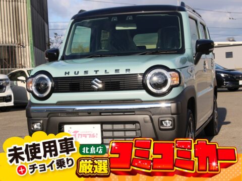 ハスラー　タフワイルド　全方位モニター付ナビ