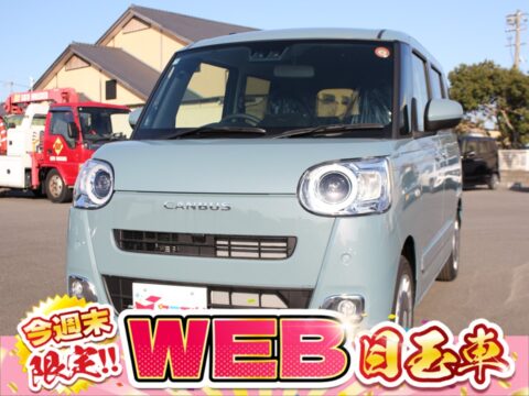 ムーヴキャンバス　セオリーG