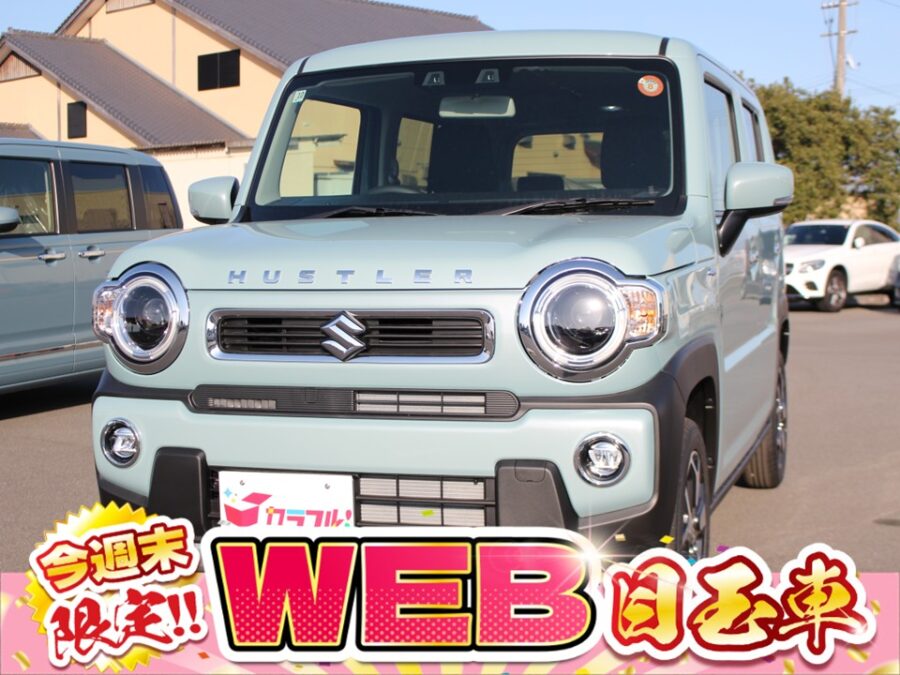 ハスラー　ハイブリッドX