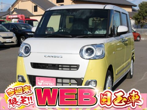 ムーヴキャンバス　ストライプスＧ