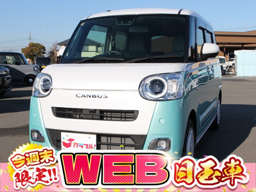 ムーヴキャンバス　ストライプスG