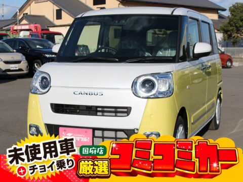 ムーヴキャンバス　ストライプスＧ