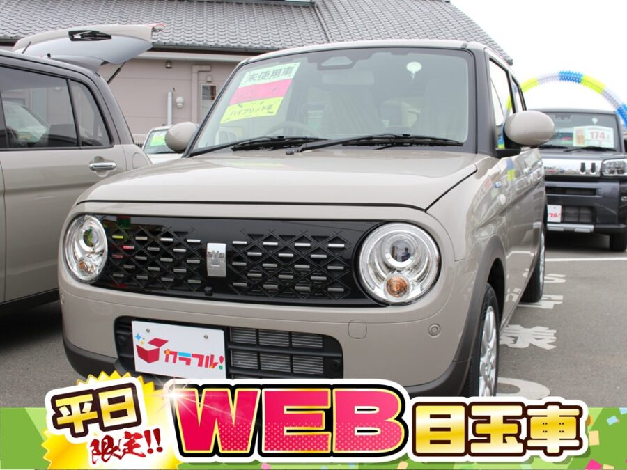 アルトラパン　ハイブリッドＸ　全方位カメラ