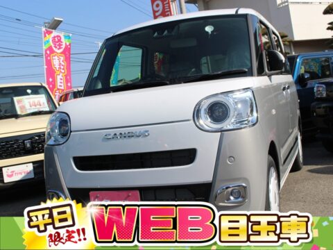 ムーヴキャンバス　ストライプスG