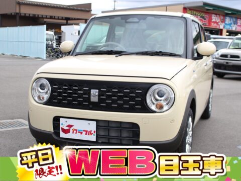 アルトラパン　ハイブリッドX　全方位カメラ