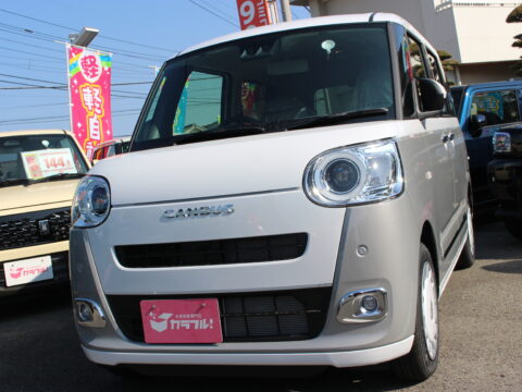 ムーヴキャンバス　ストライプスG