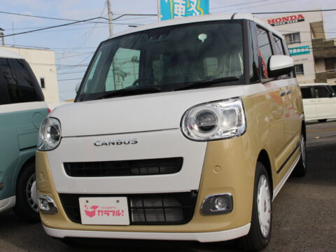 ムーヴキャンバス　ストライプスG