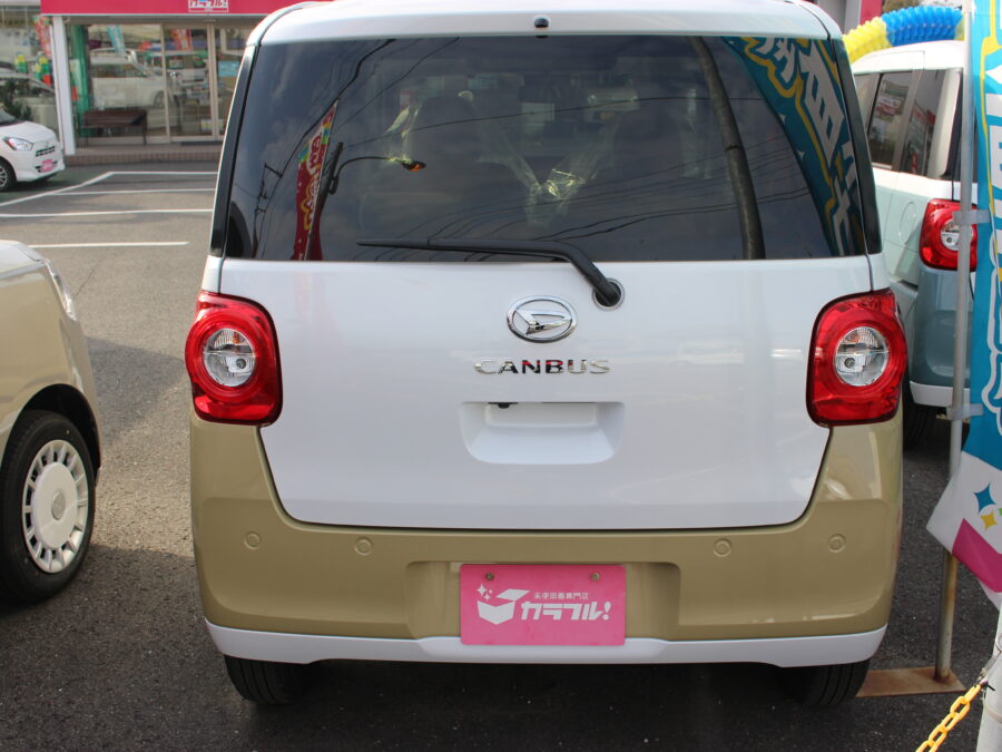 ムーヴキャンバス　ストライプスG