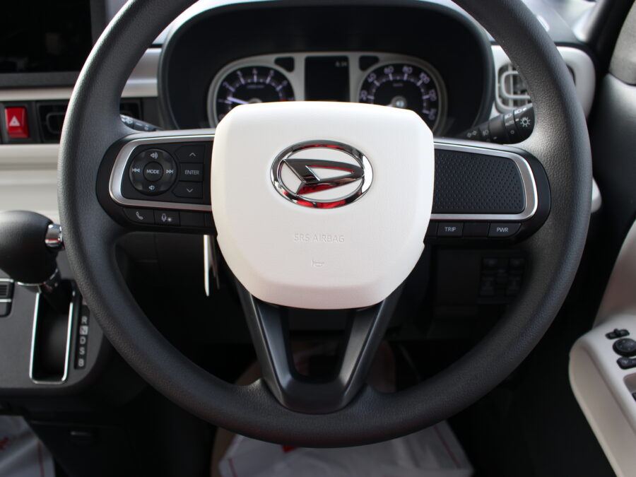 ムーヴキャンバス　ストライプスG