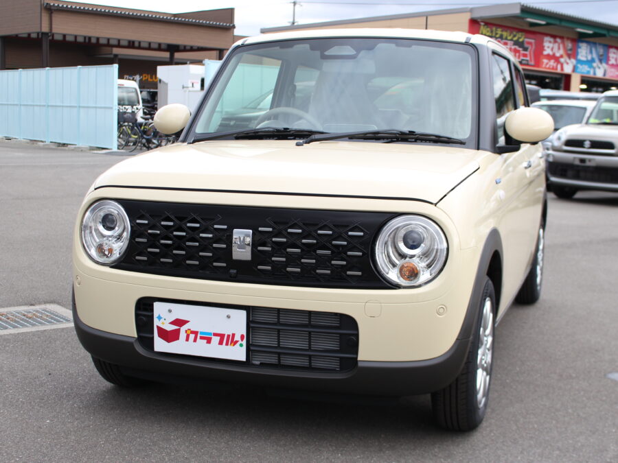 アルトラパン　ハイブリッドX　全方位カメラ