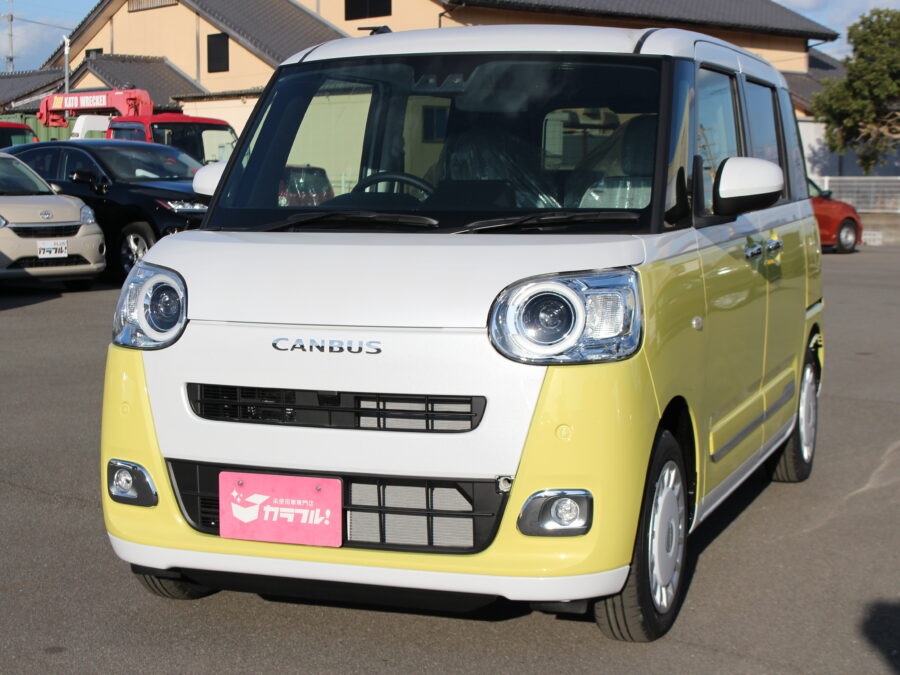 ムーヴキャンバス　ストライプスＧ