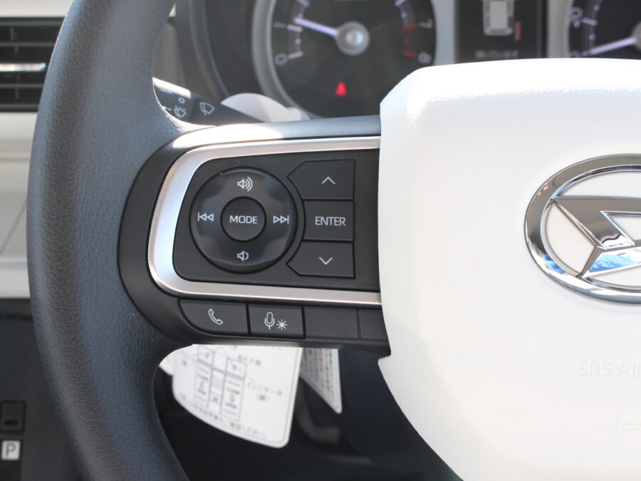 ムーヴキャンバス　ストライプスＧ