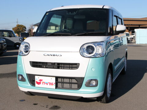 ムーヴキャンバス　ストライプスG