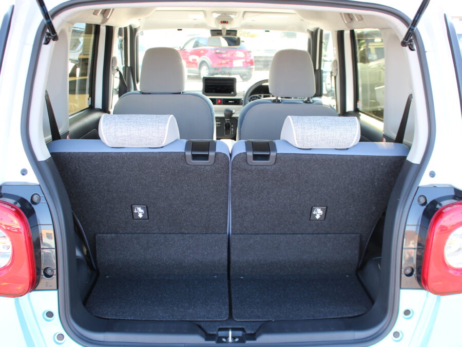 ムーヴキャンバス　ストライプスG