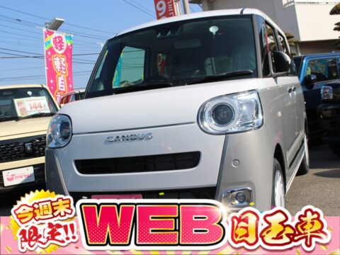 ムーヴキャンバス　ストライプスG