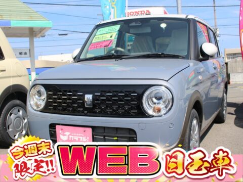 アルトラパン　ハイブリッドX　全方位カメラ付