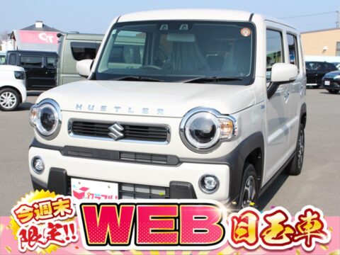 ハスラー　ハイブリッドＸ