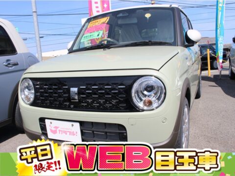 アルトラパン　ハイブリッドX　全方位カメラ付