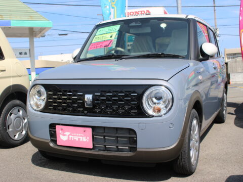 アルトラパン　ハイブリッドX　全方位カメラ付